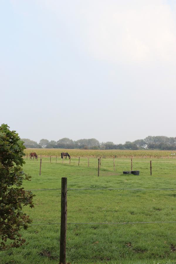 Gastenverblijven Boerderij Het Driespan Middelburg Esterno foto
