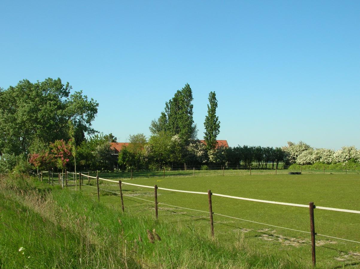 Gastenverblijven Boerderij Het Driespan Middelburg Esterno foto