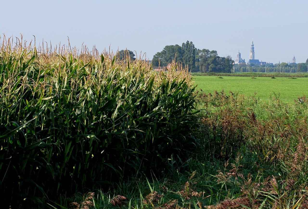 Gastenverblijven Boerderij Het Driespan Middelburg Esterno foto